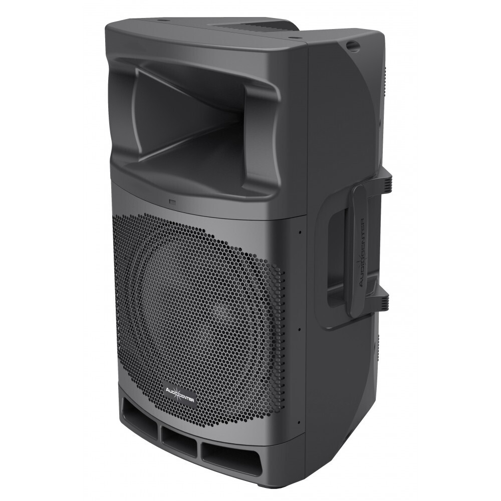 Audiocenter MA12 активная акустическая система в Светогорске