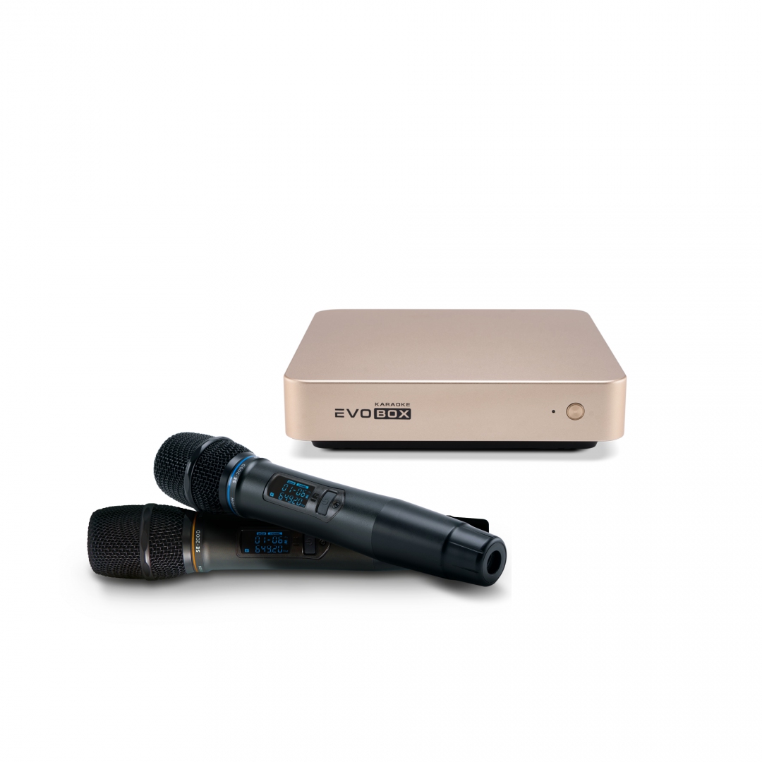 EVOBOX с микрофонами в Светогорске