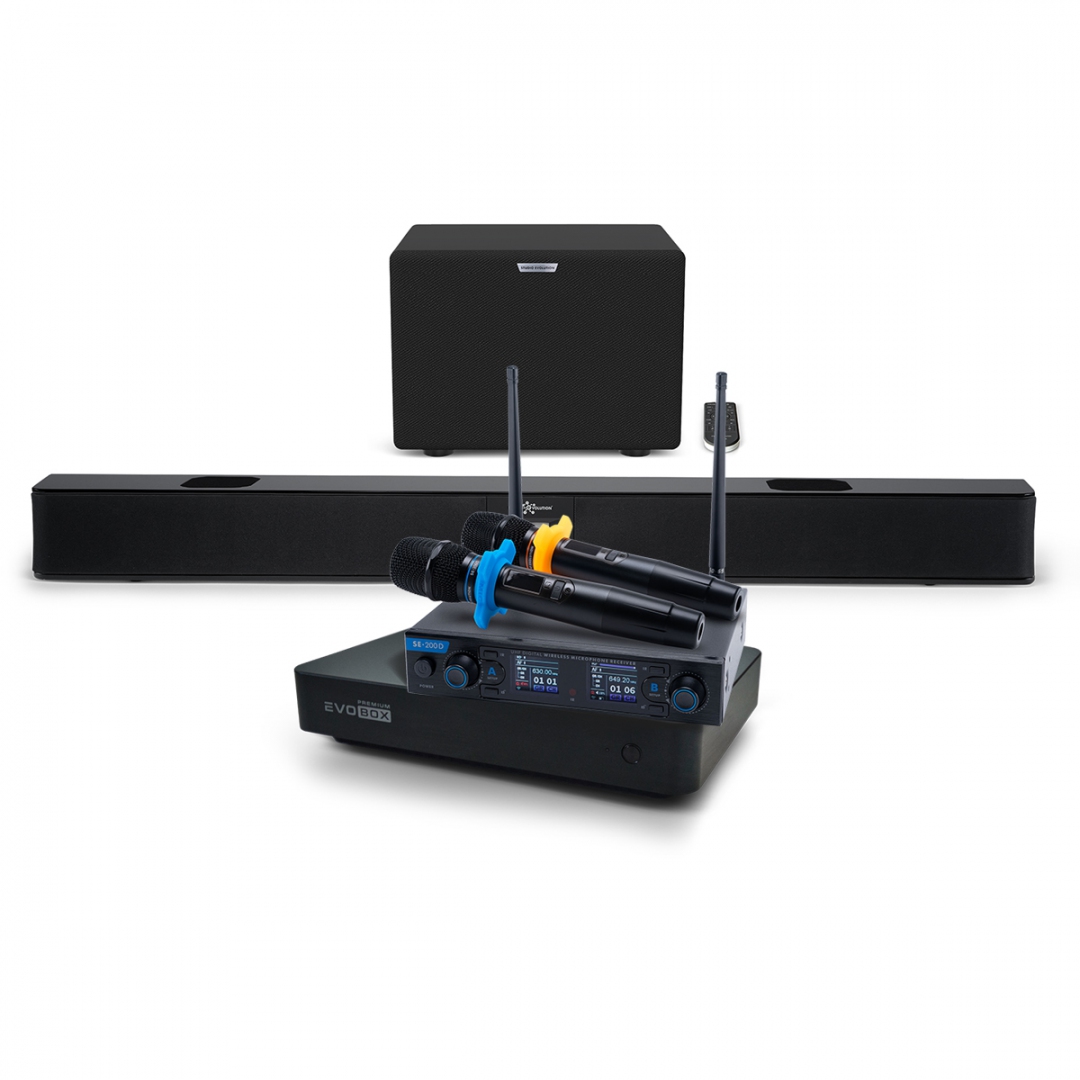 Hi-End караоке-система EVOBOX Premium + EvoSoundBar (саундбар с караоке) в Светогорске