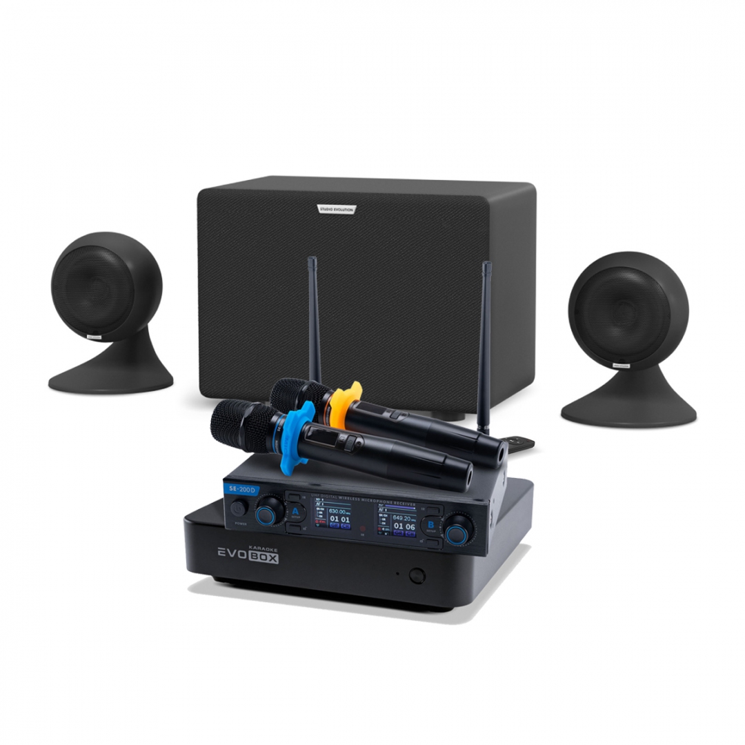 караоке-комплект EVOBOX + EvoSound Sphere 2.1 в Светогорске