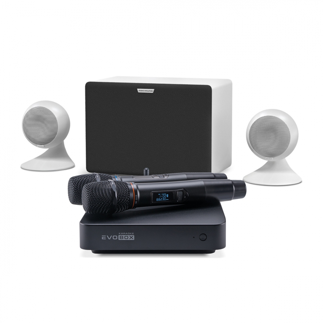караоке-комплект EVOBOX Classic + EvoSound Sphere 2.1 в Светогорске