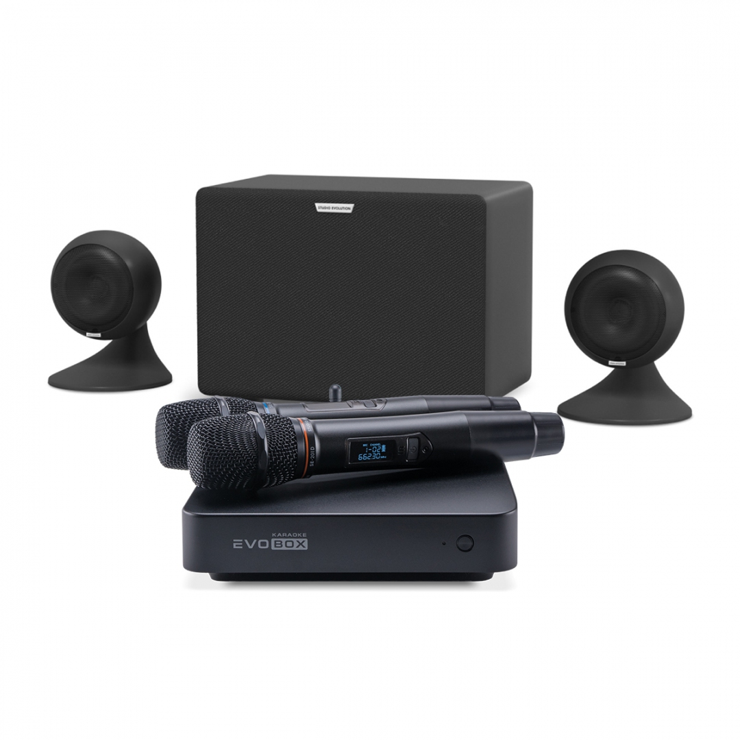 караоке-комплект EVOBOX Plus + EvoSound Sphere 2.1 в Светогорске