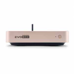 EVOBOX Plus караоке-система для дома в Светогорске