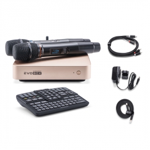 EVOBOX Plus караоке-система для дома в Светогорске