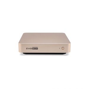 EVOBOX с микрофонами в Светогорске