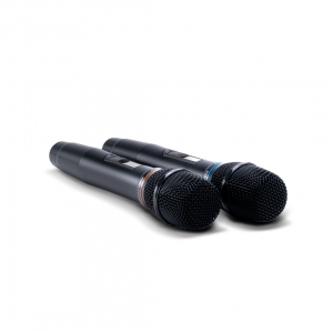 SE-200D цифровые микрофоны в Светогорске