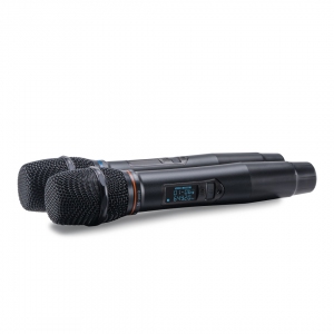 SE-200D цифровые микрофоны в Светогорске